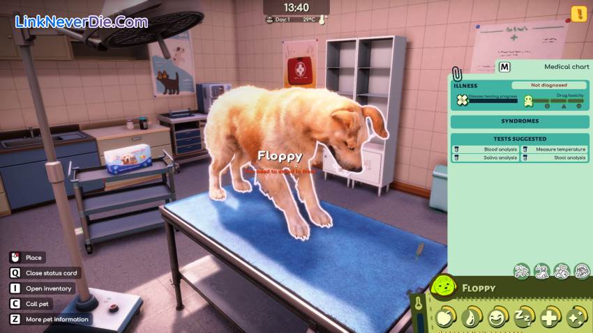 Hình ảnh trong game Animal Shelter 2 (screenshot)