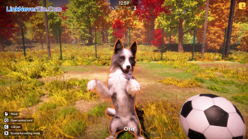 Hình ảnh trong game Animal Shelter 2 (screenshot)