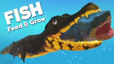 Feed and Grow: Fish