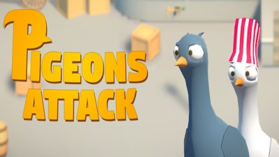 Pigeons Attack