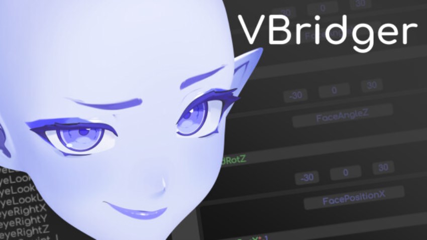 VBridger cover