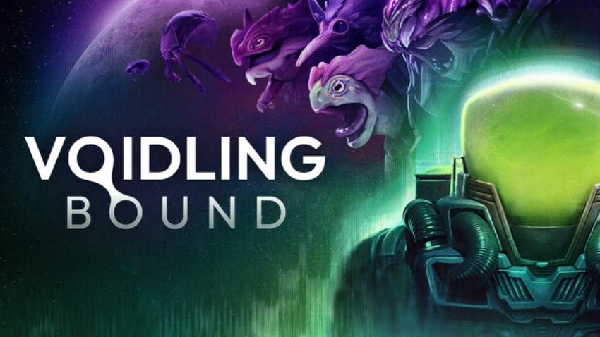 Voidling Bound cover