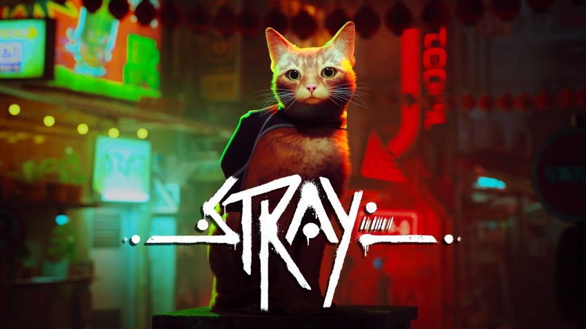 Stray cover