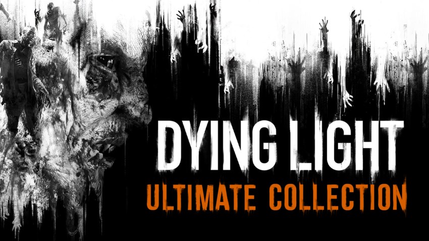 Dying Light cover